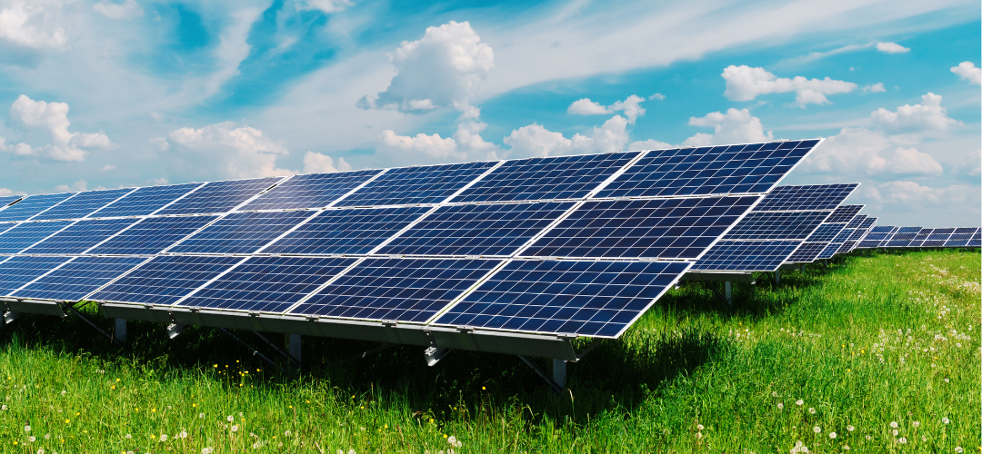 Untitled design (11)