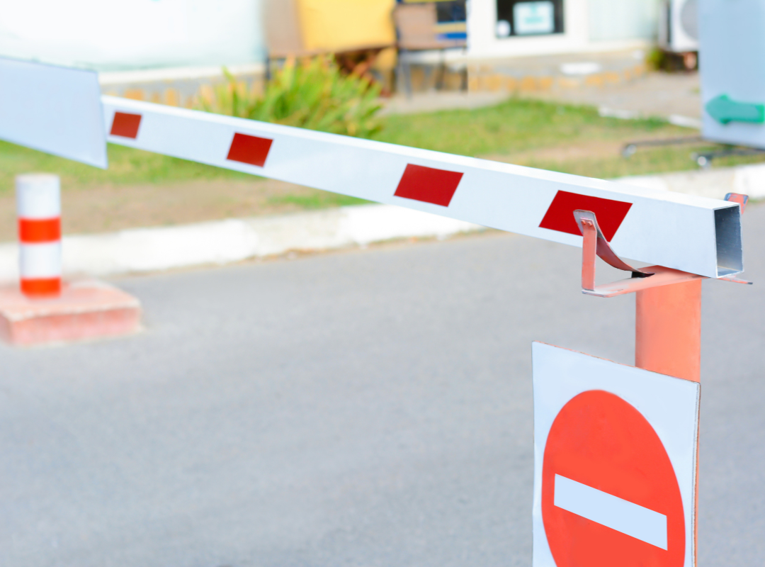 Untitled design (13)